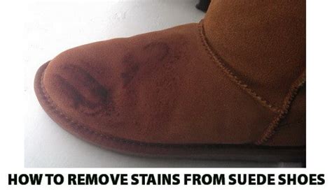 remove grease stain from suede